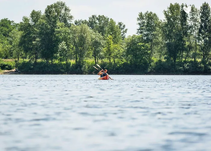 Seeglueck Oase - Charmante Mit Garten Gaestezimmern Und Tiny House Nahe Universitaet Insel Mainau Und In 게스트하우스 콘스탄츠